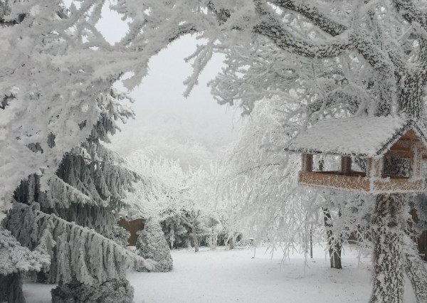 IBA U NÁS: Vidiecky dom so saunou a 3 spálňami – Cerová