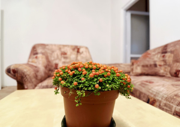 IBA U NÁS! Na predaj 3 izbový priestranný byt, BA-Ružinov