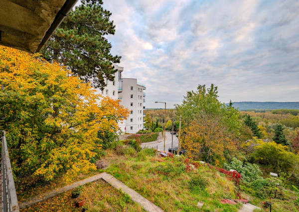 IBA U NÁS: Projekt vila / bytové domy, BA-Karlova Ves