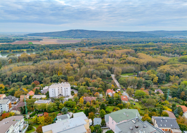 IBA U NÁS: Projekt vila / bytové domy, BA-Karlova Ves