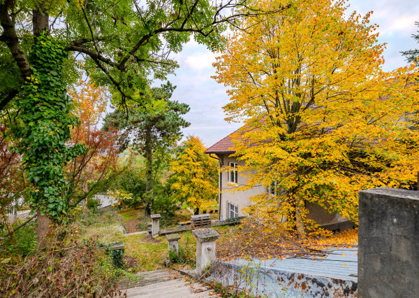 IBA U NÁS: Projekt vila / bytové domy, BA-Karlova Ves