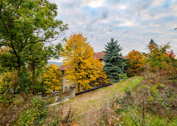 IBA U NÁS: Projekt vila / bytové domy, BA-Karlova Ves
