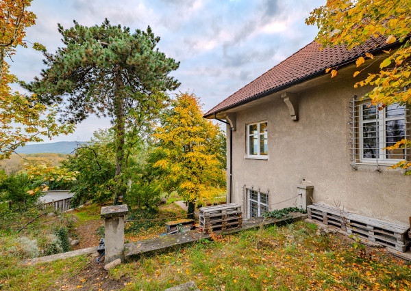 IBA U NÁS: Projekt vila / bytové domy, BA-Karlova Ves