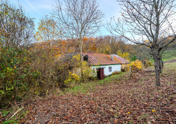 IBA U NÁS!Na predaj dom v krásnom prostredí, Haluzice, 775m2
