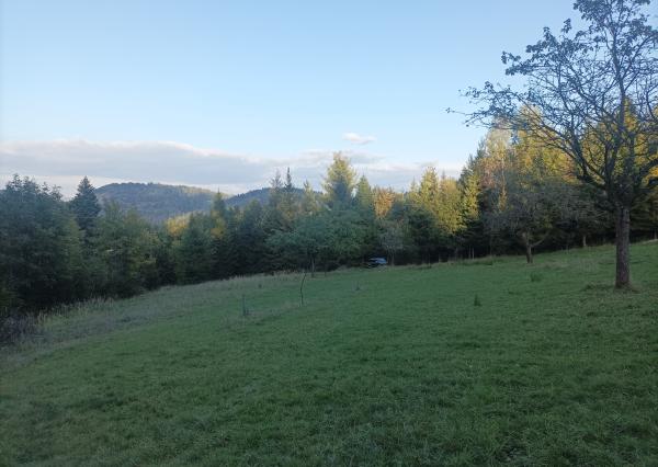 PRIPRAVUJEME! Predaj rekreačný pozemok na samote - Čadca Rieka