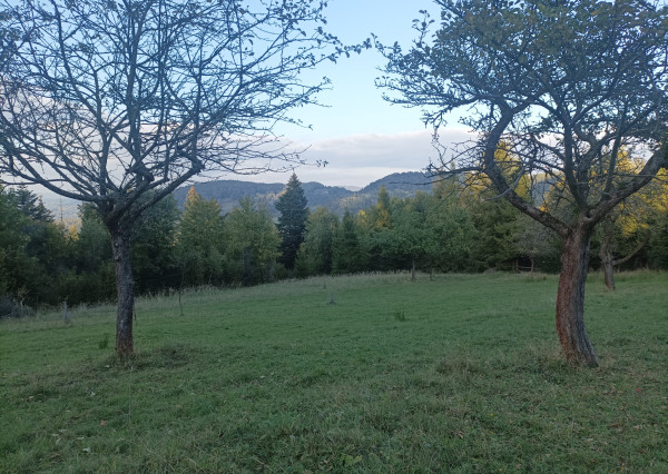 PRIPRAVUJEME! Predaj rekreačný pozemok na samote - Čadca Rieka