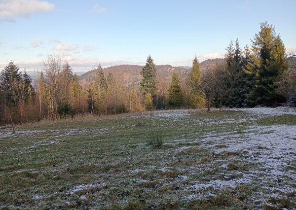 PRIPRAVUJEME! Predaj rekreačný pozemok na samote - Čadca Rieka