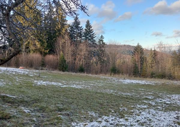 PRIPRAVUJEME! Predaj rekreačný pozemok na samote - Čadca Rieka