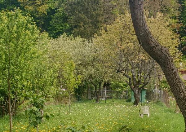 NA PREDAJ! Lukratívny pozemok s chatou v Myslave