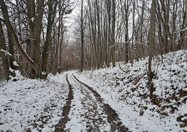IBA U NÁS! Chalupa v prírode pod lesom - Kvašov,okres Púchov
