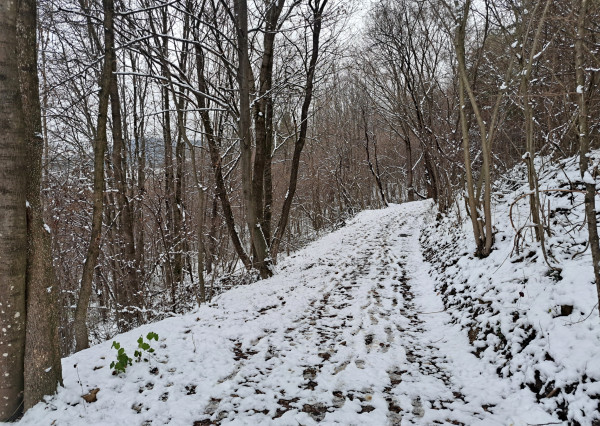 IBA U NÁS! Chalupa v prírode pod lesom - Kvašov,okres Púchov