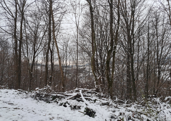 IBA U NÁS! Chalupa v prírode pod lesom - Kvašov,okres Púchov