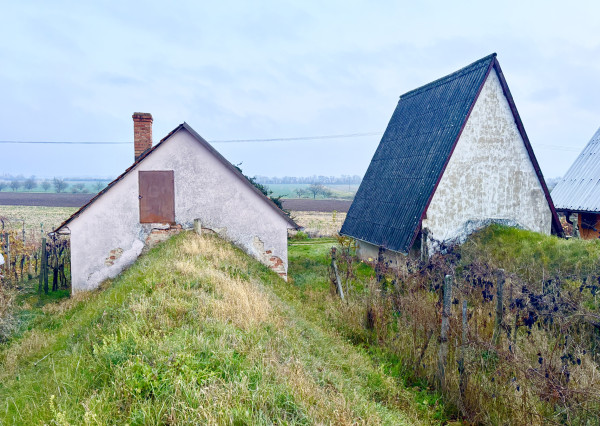 IBA U NÁS! Chata, vinohrad, pivnica, vinič, Bátorové Kosihy