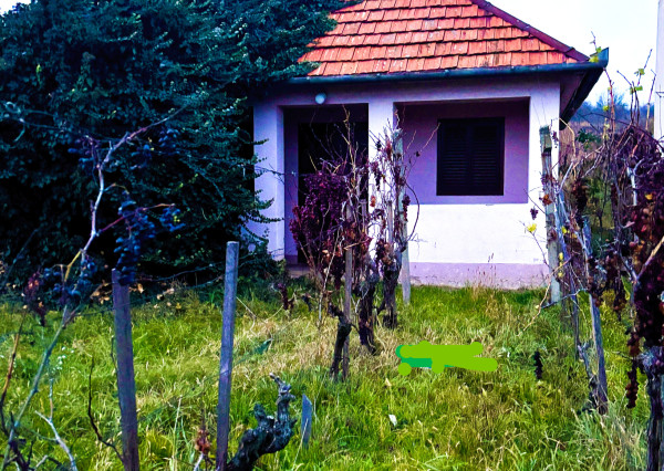 IBA U NÁS! Chata, vinohrad, pivnica, vinič, Bátorové Kosihy