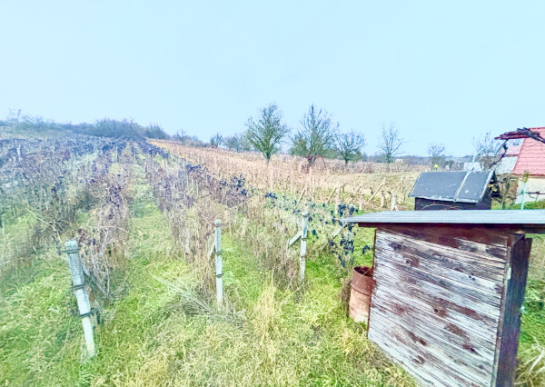 IBA U NÁS! 2X Chata, vinohrad s viničom, Bátorové Kosihy