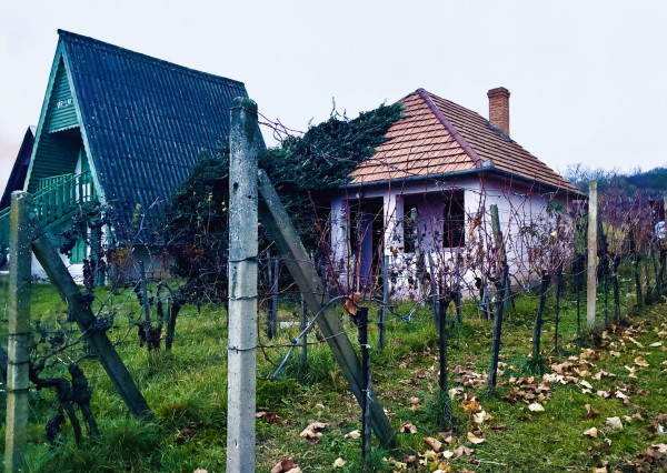 IBA U NÁS! 2X Chata, vinohrad s viničom, Bátorové Kosihy
