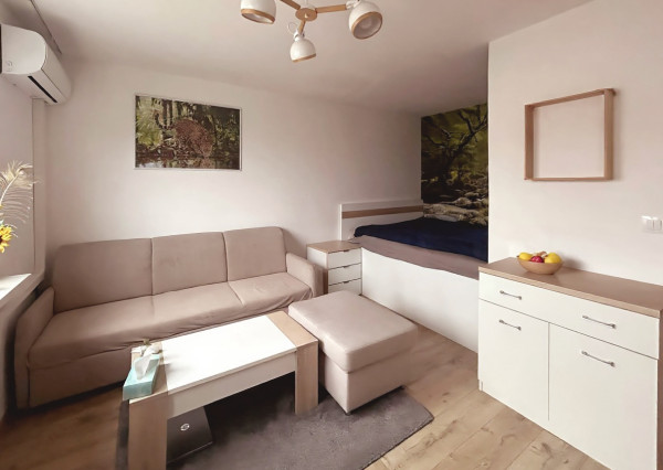 IBA U NÁS! na predaj 1-izbový byt v Ružinove