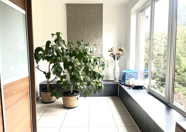 NA PREDAJ! Útulný 4i Rodinný dom s garážou Bošany centrum