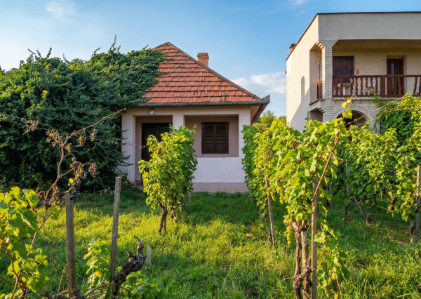 IBA U NÁS! Chata, vinohrad, pozemok, Bátorové Kosihy