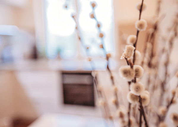 IBA U NÁS! Tento byt je životný štýl