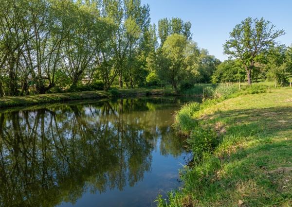 NA PREDAJ! Priestranný pozemok s vlastným jazerom – Maďarsko
