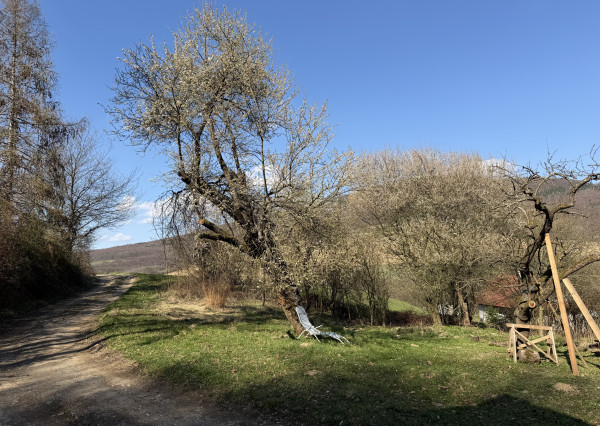 IBA U NÁS! Rodinný dom na polosamote pri lese - Nová Bošáca