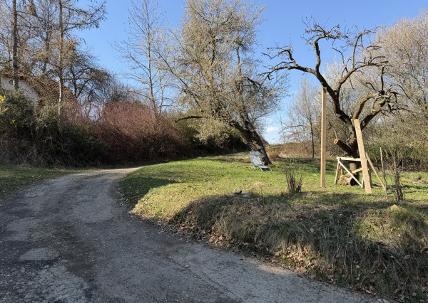 IBA U NÁS! Rodinný dom na polosamote pri lese - Nová Bošáca