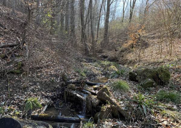 IBA U NÁS! Rodinný dom na polosamote pri lese - Nová Bošáca