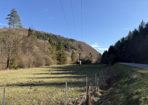 NA PREDAJ! Rekreačný pozemok pri potoku v obci Valaská Belá