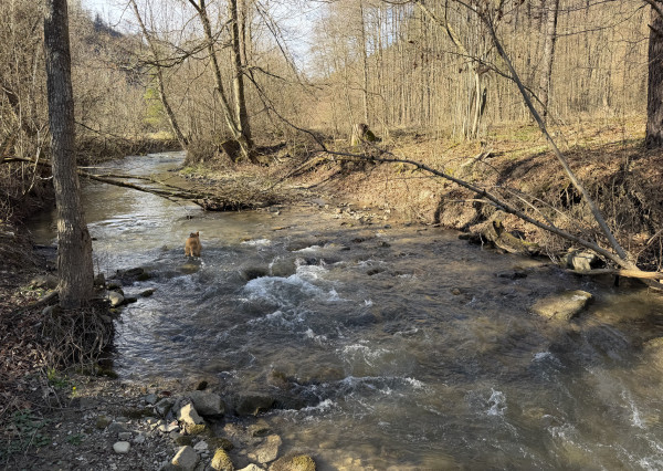NA PREDAJ! Rekreačný pozemok pri potoku v obci Valaská Belá