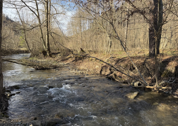 NA PREDAJ! Rekreačný pozemok pri potoku v obci Valaská Belá