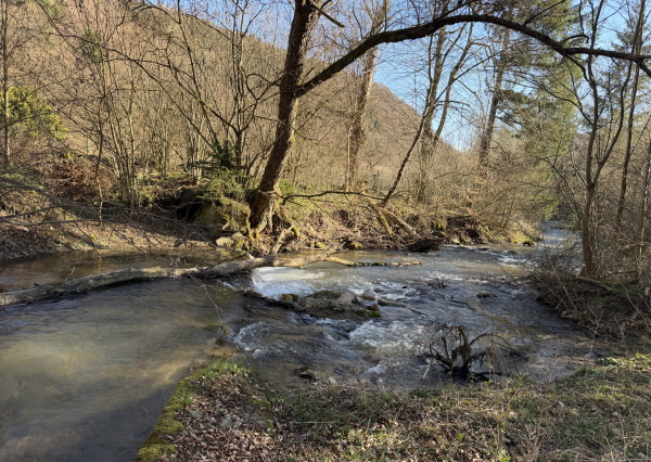NA PREDAJ! Rekreačný pozemok pri potoku v obci Valaská Belá