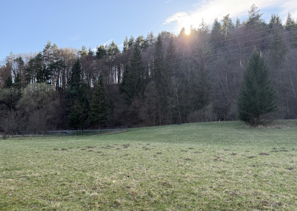 NA PREDAJ! Rekreačný pozemok pri potoku v obci Valaská Belá