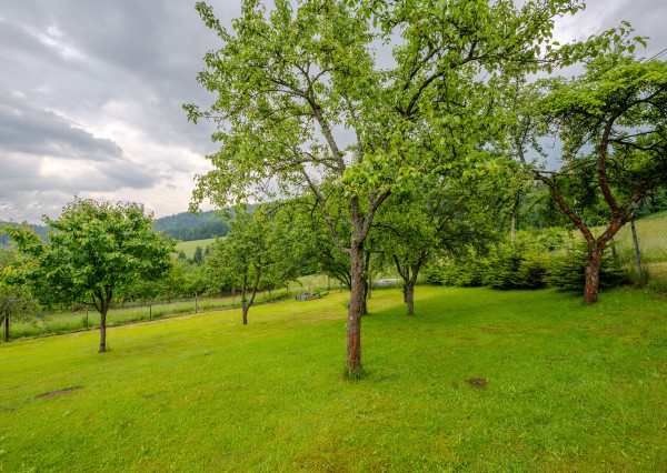 IBA U NÁS! Stavebný pozemok v obci Čierne pri Čadci - 640m²