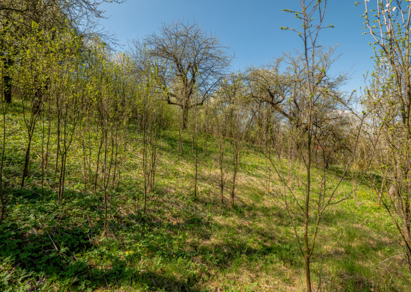 IBA U NÁS! Na predaj stavebný pozemok - 3225m² Varhaňovce