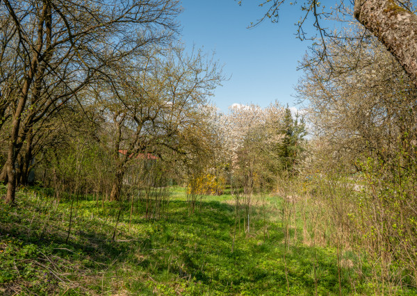 IBA U NÁS! Na predaj stavebný pozemok - 3225m² Varhaňovce
