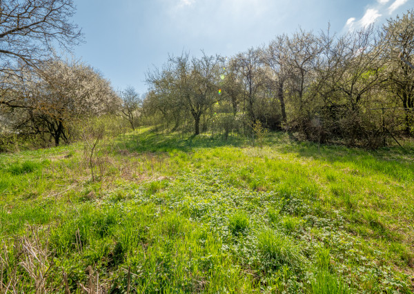 IBA U NÁS! Na predaj stavebný pozemok - 3225m² Varhaňovce
