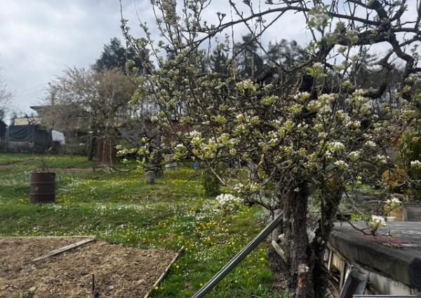 NA PREDAJ !  Záhradka 358m2 SNP Považská Bystrica