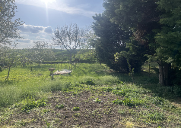 IBA U NÁS !Na predaj 3i dom s pozemkom 958m2, obec Bíňa