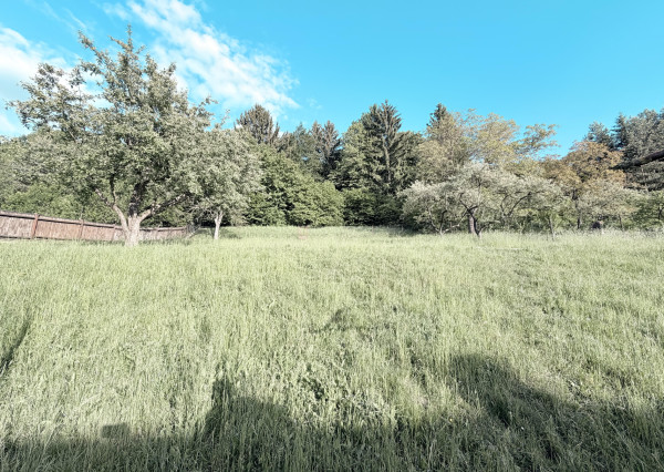 PRIPRAVUJEME! Na predaj RD, 433m2, Horné Ladce