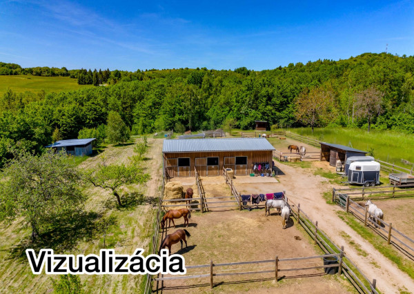 IBA U NÁS!Rodinný 6i dom-sídlo, 9008m2 pozemok, Nová Baňa