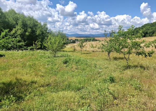 Novostavba na samote s top výhľadom - Prusy, o.Bánovce n./B.