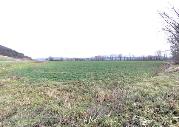 REKREAČNÉ POZEMKY 10 682 m² | Horovce | Púchov