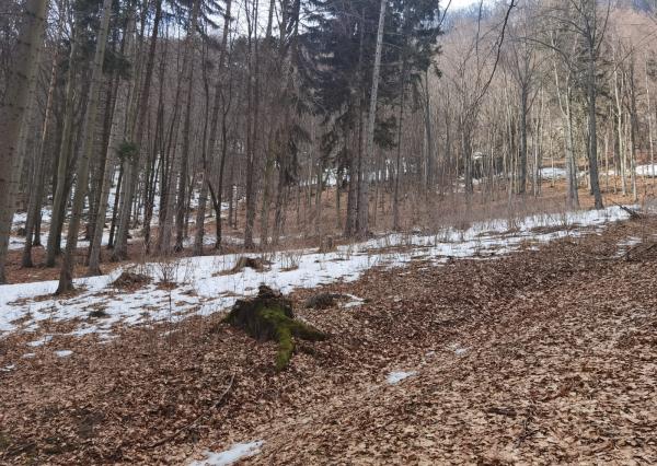 REKREAČNÉ POZEMKY 10 682 m² | Horovce | Púchov