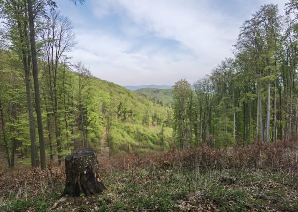 REKREAČNÉ POZEMKY 10 682 m² | Horovce | Púchov