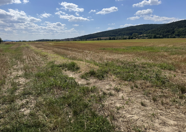 Výnimočné rekreačné pozemky 10 682 m², Horovce, Púchov