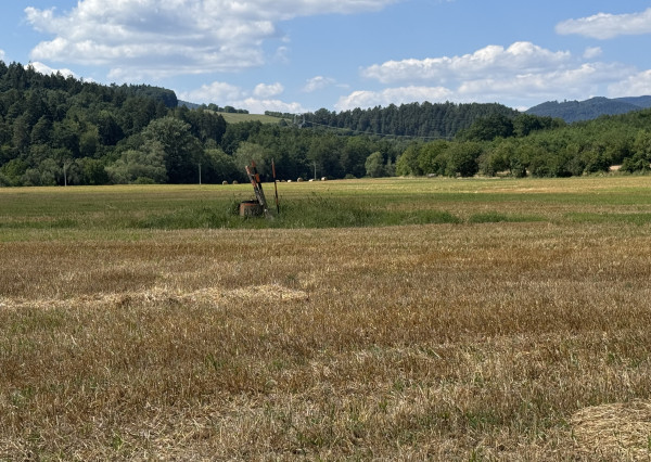 Výnimočné rekreačné pozemky 10 682 m², Horovce, Púchov