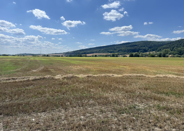 Výnimočné rekreačné pozemky 10 682 m², Horovce, Púchov