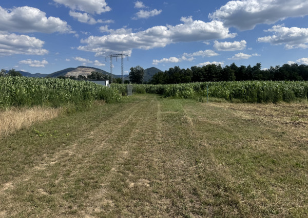 Slnečný investičný pozemok Horovce, Púchov 986 m2