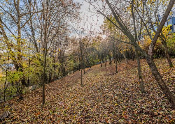 Na predaj veľký investičný pozemok Žilina - Vranie 2246 m2